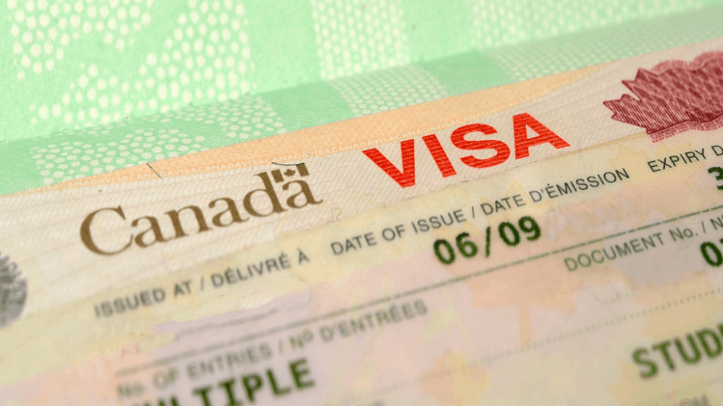 xem kết quả visa Canada